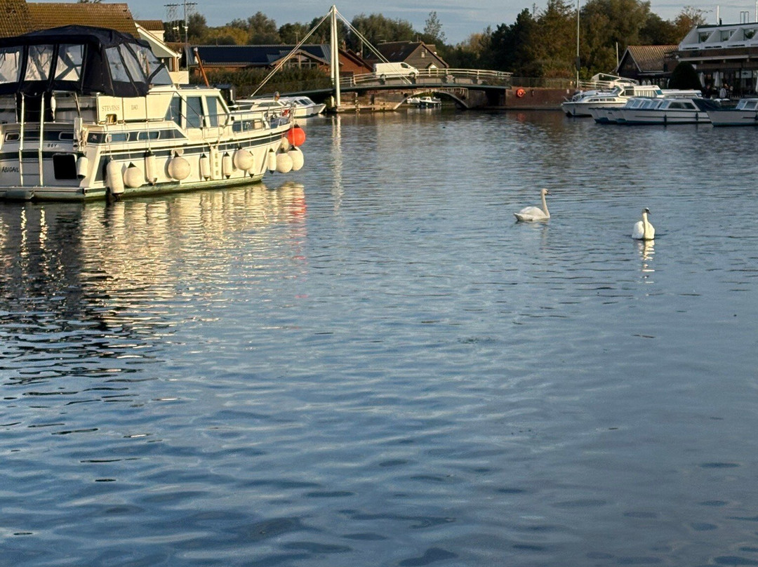 Broads Tours River Trips-罗克瑟姆必去景点