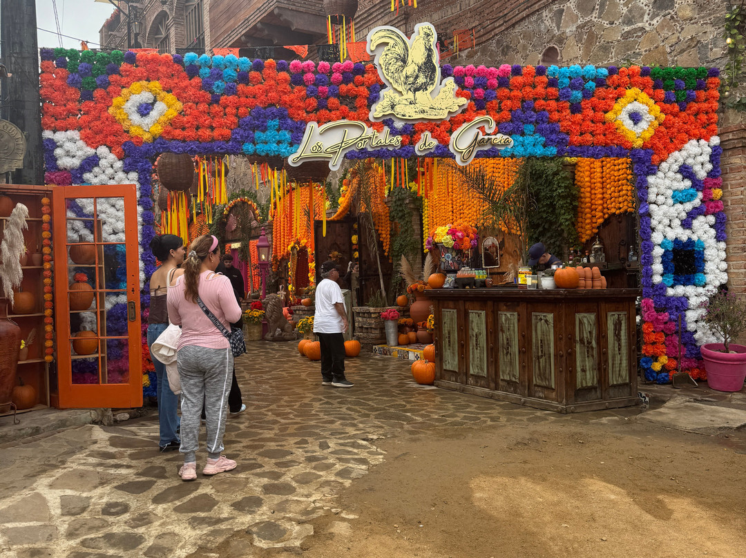 Valle De Vino Tours-Valle de Guadalupe必去景点