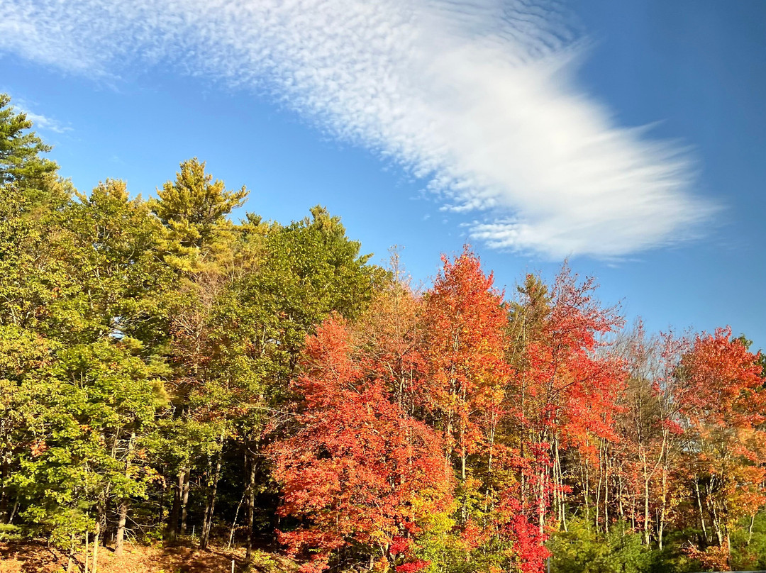 G&M Tours-Campton必去景点