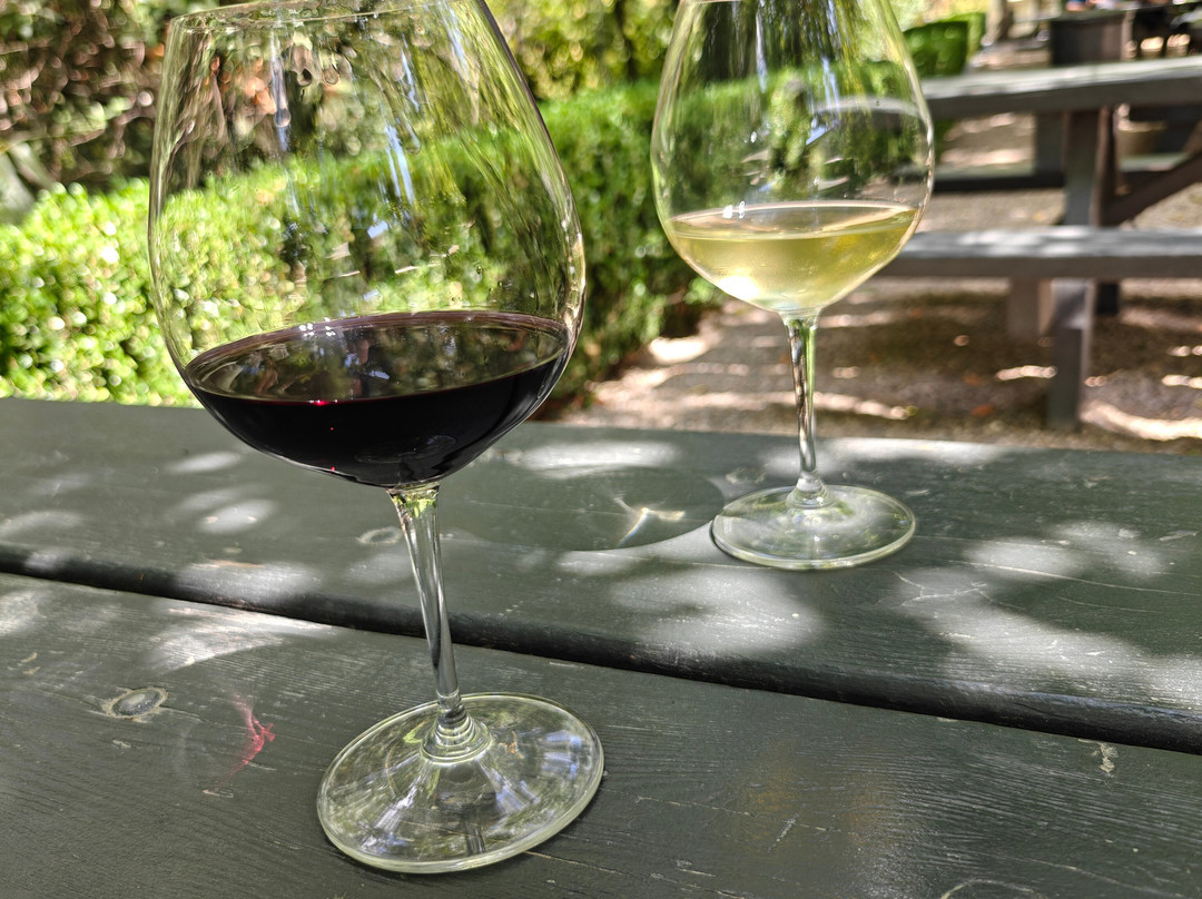 Buena Vista Winery-索诺玛必去景点