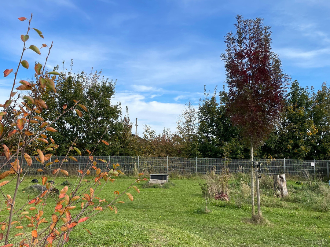 Innsider Hundewiese Ampfing-Ampfing必去景点