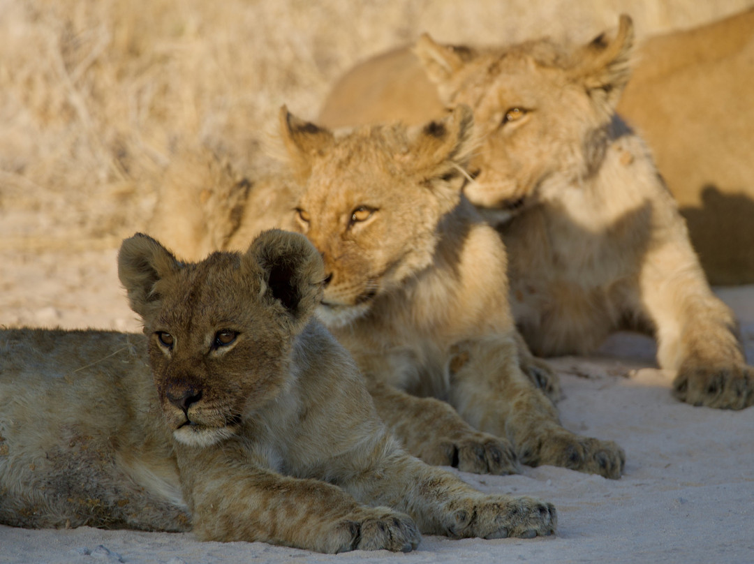 Great Explorations Namibia-温德和克必去景点