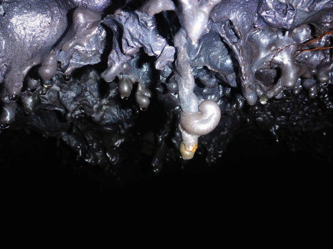 Ricaric-Langevin必去景点