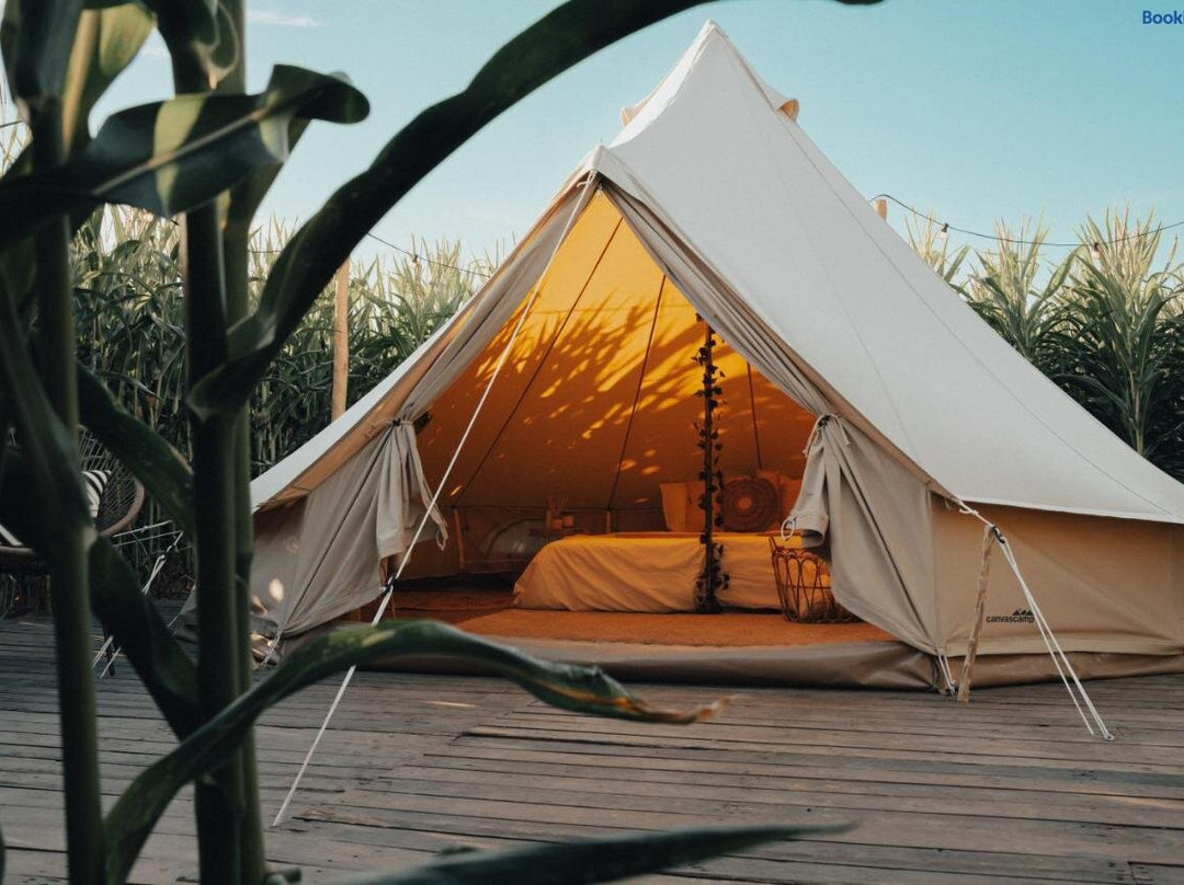 Glamping La Ferme Tent IV