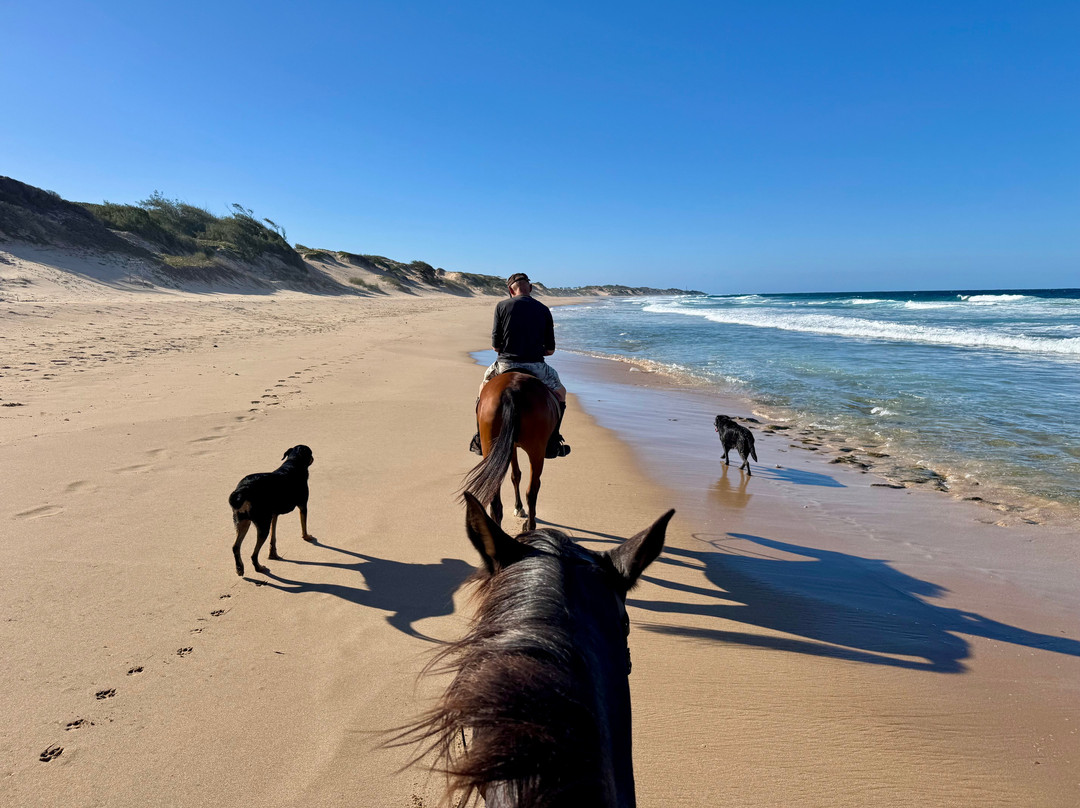 Cavalheiros Do Tofo-托佛必去景点