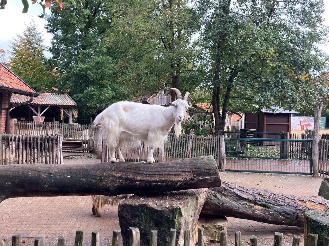Tierpark Nordhorn-Nordhorn必去景点