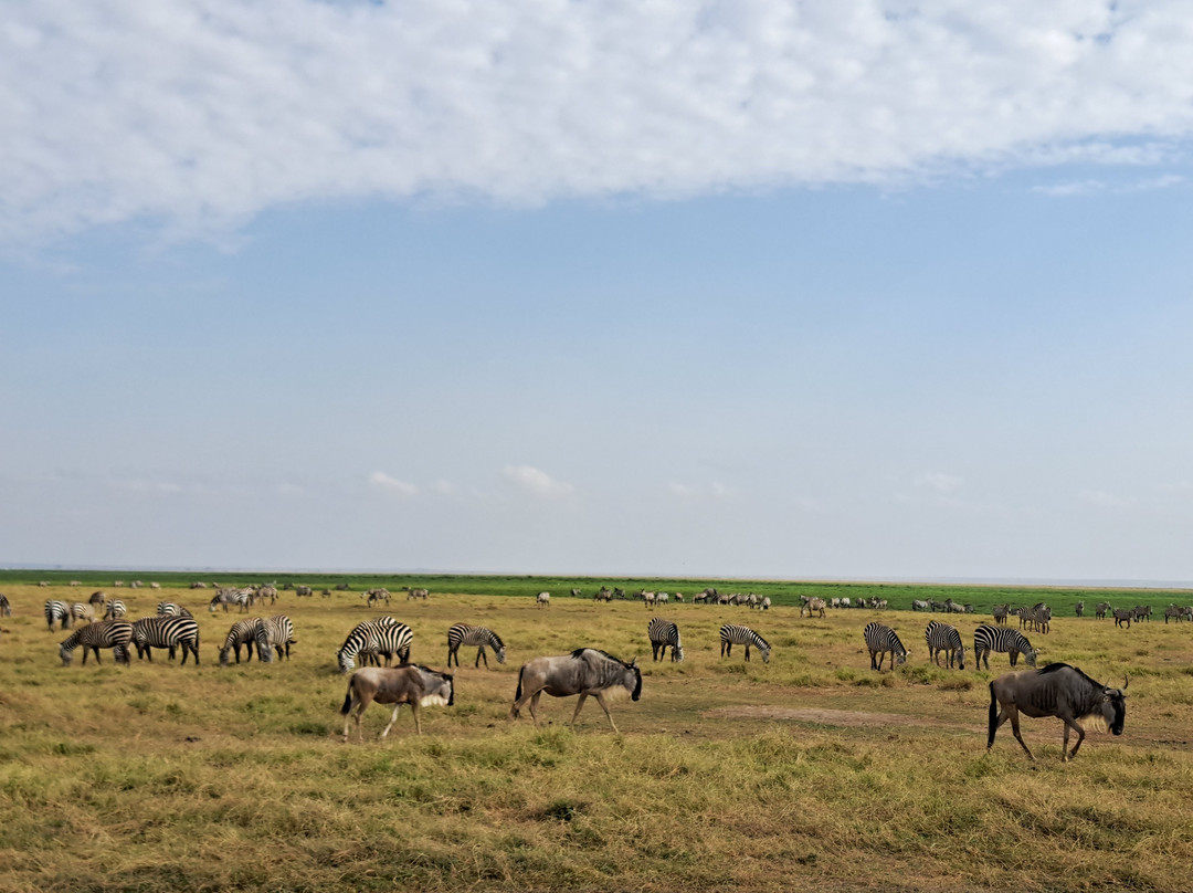 Aventure Safaris-蒙巴萨必去景点