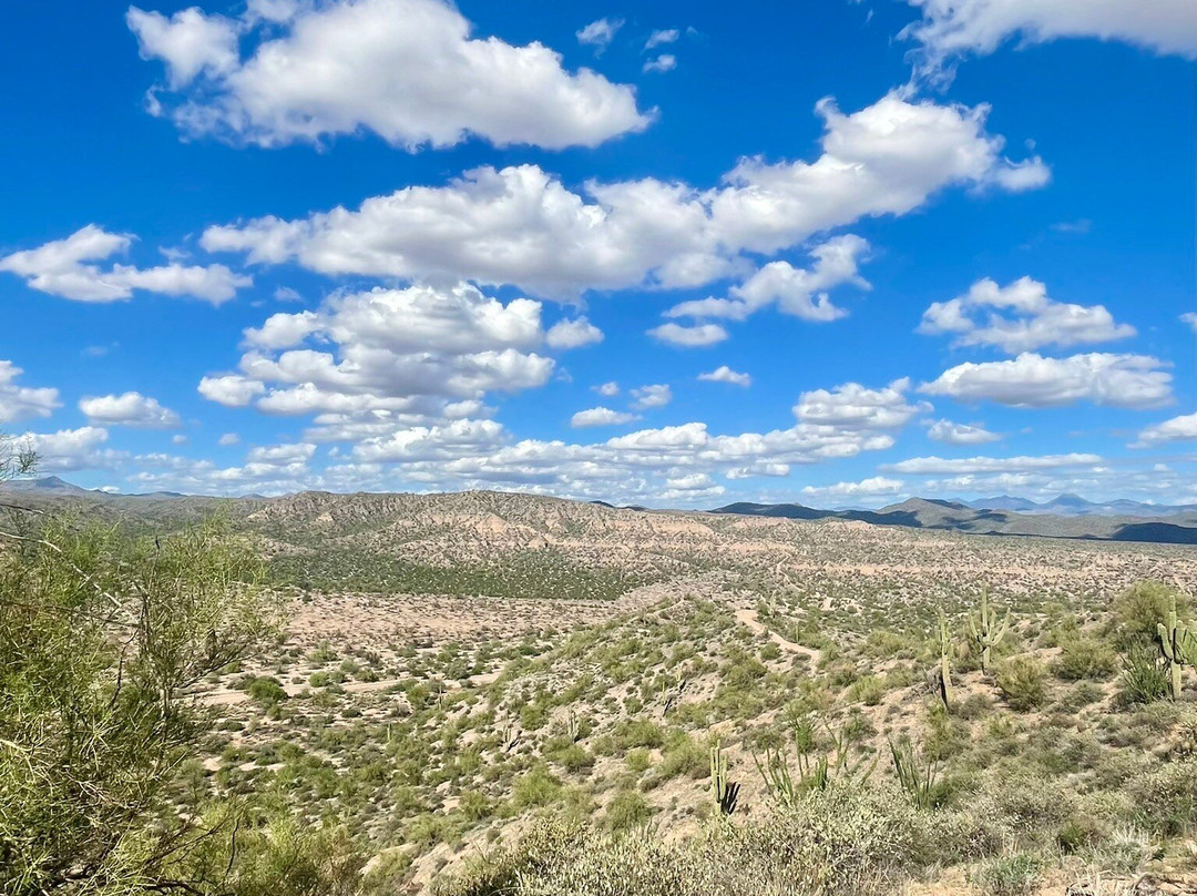 Scottsdale Adventure Tours-斯科茨代尔必去景点