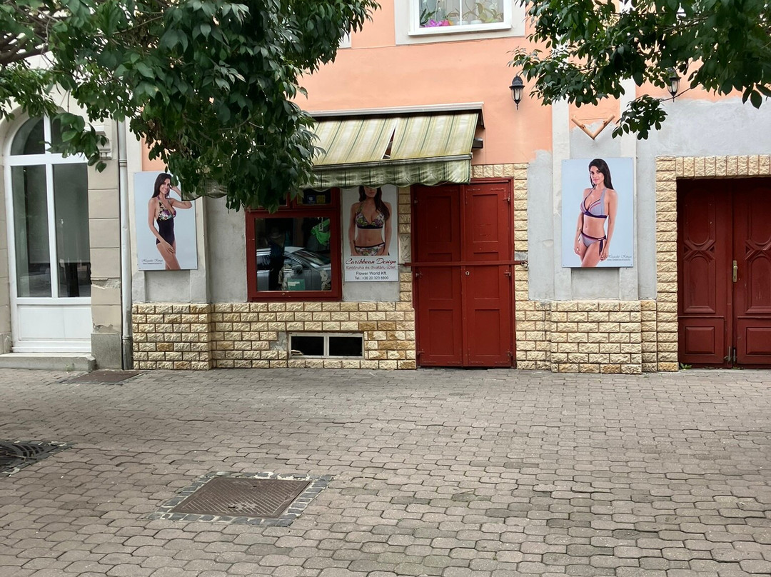 Magyar utca-Mosonmagyarovar必去景点