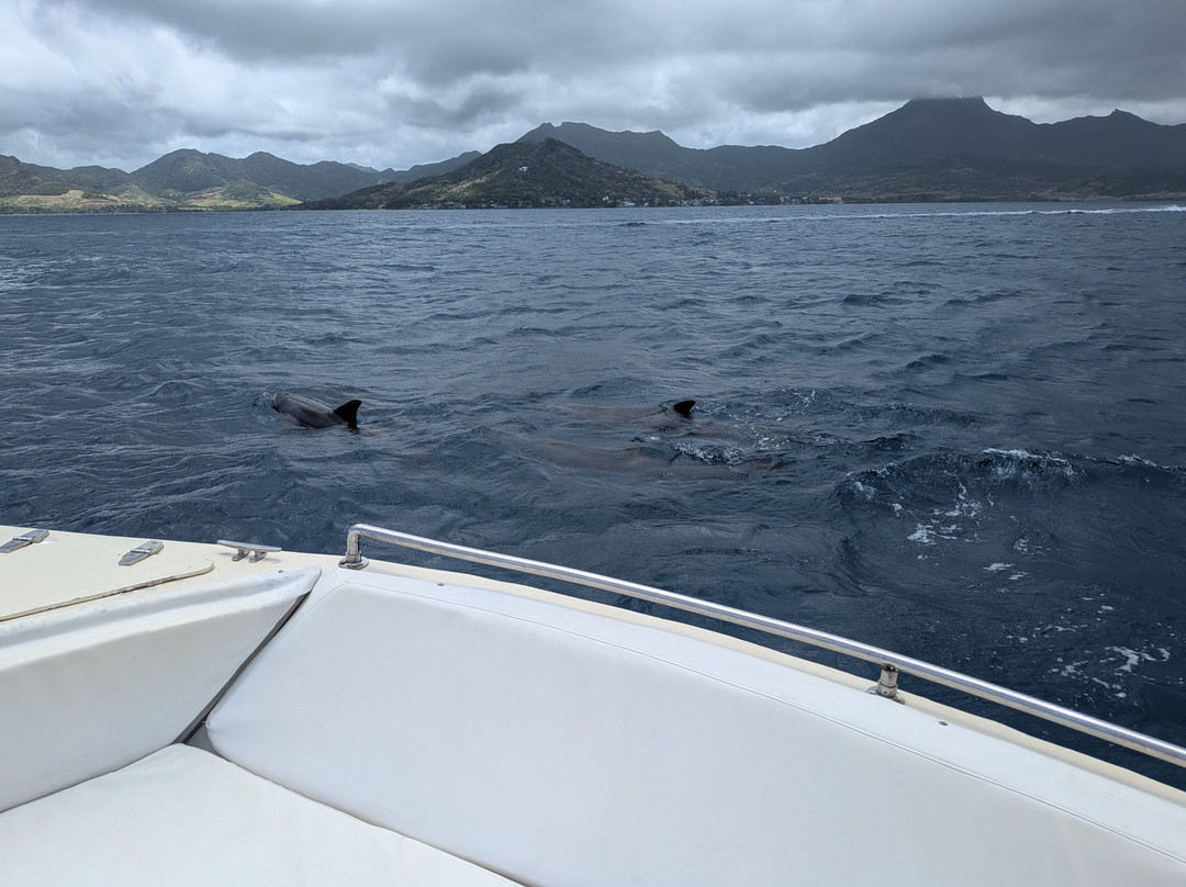 Totof Tours Mauritius-蓝湾必去景点