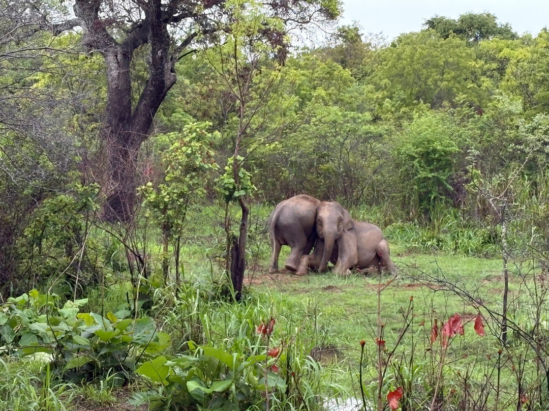 Kalum Jeep Safari-哈巴拉娜必去景点