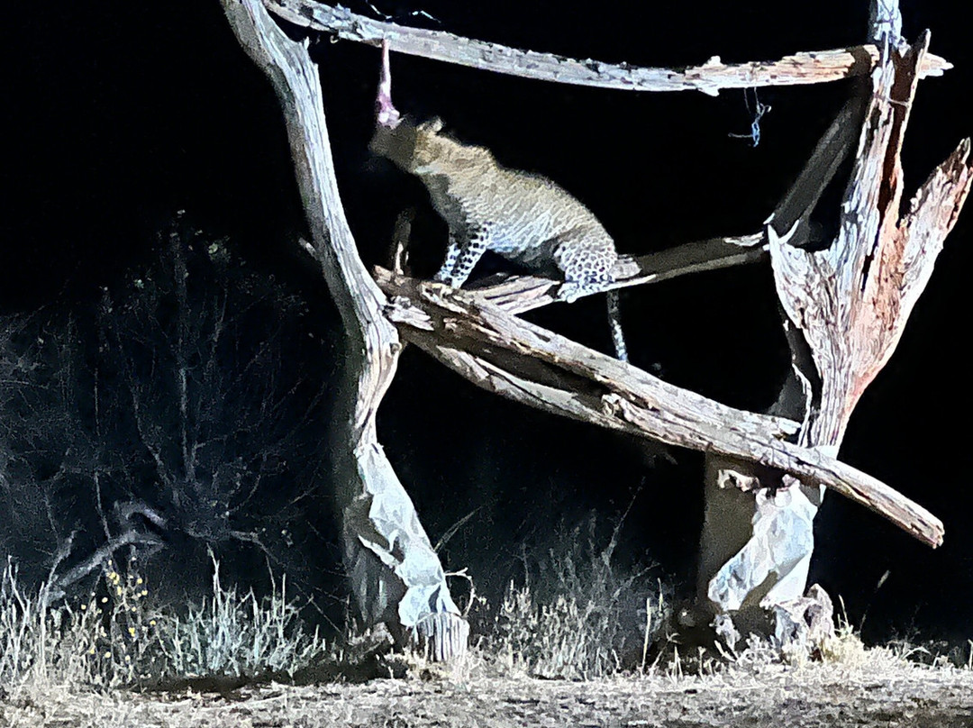 Cherish Africa Safaris-Kikuyu必去景点