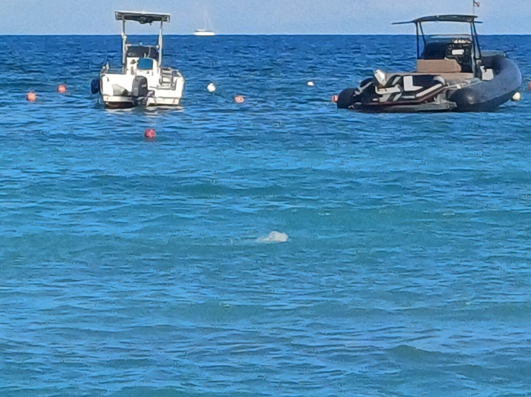Spiaggia delle Acque Calde-Isola Vulcano必去景点
