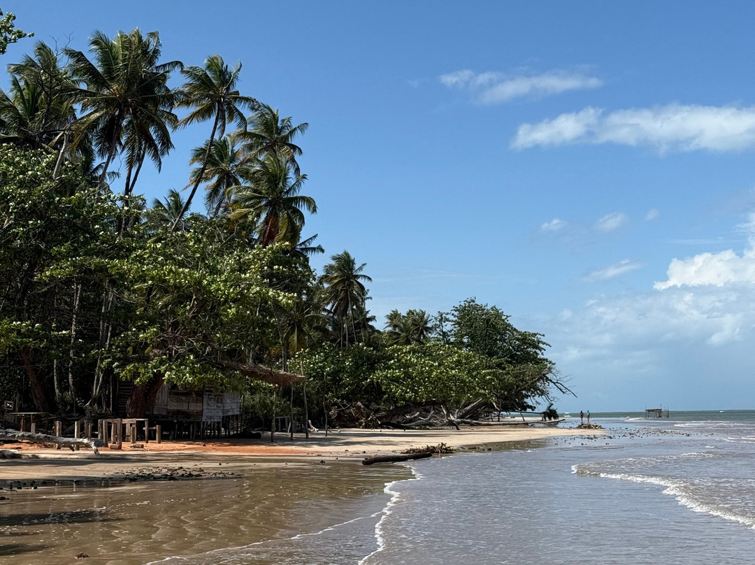 Bahia Terra Turismo E Eventos-萨尔瓦多必去景点