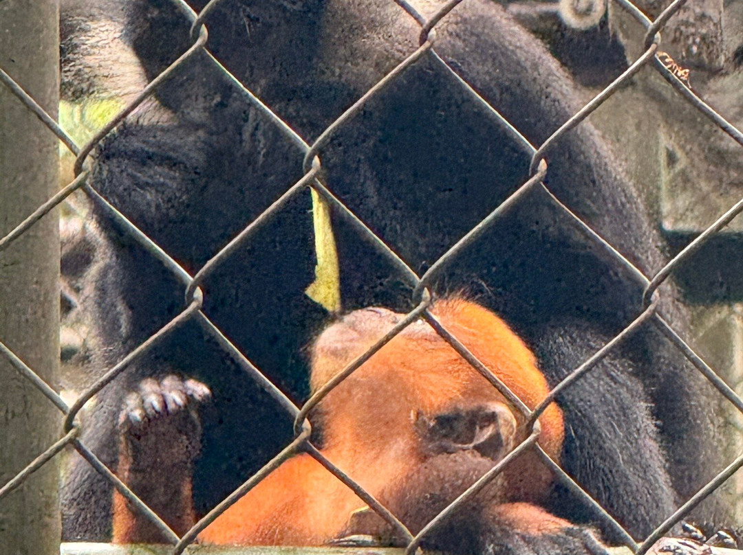 Cuc Phuong National Park-宁平必去景点