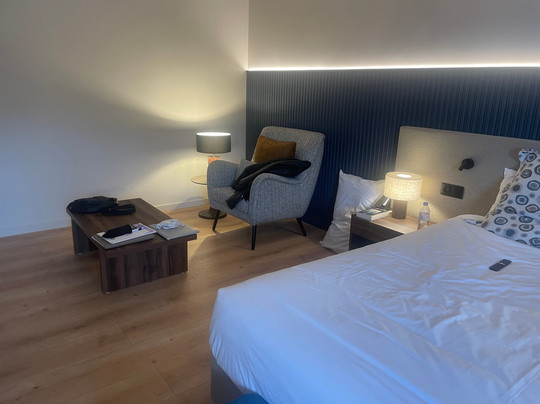 布拉加金色郁金香酒店