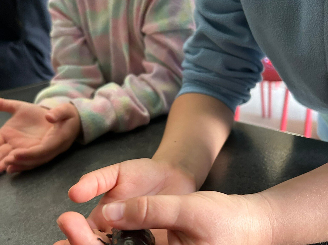 The Bug Parc-Lenwade必去景点