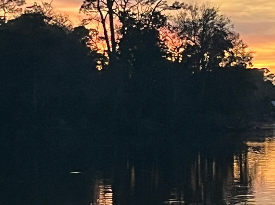 Magnolia Springs Bed & Breakfast主图