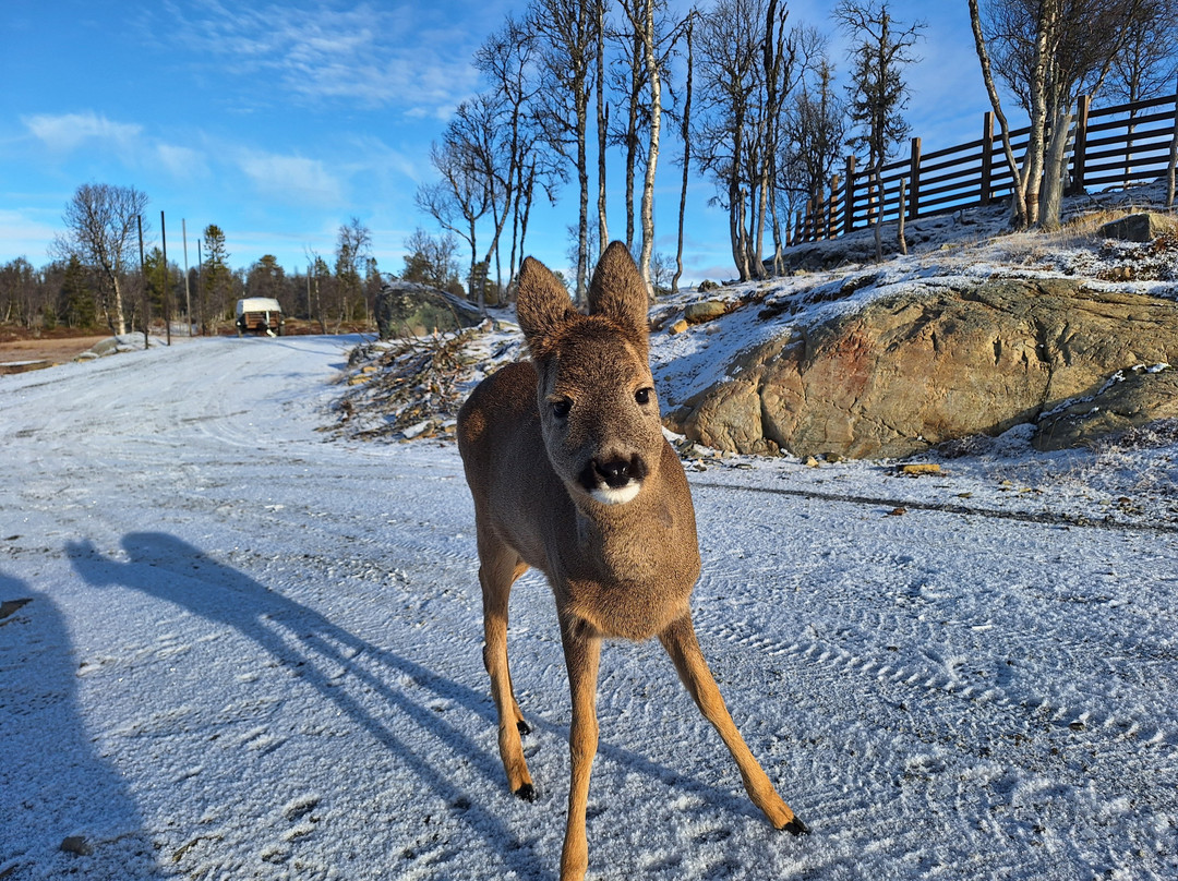 Langedrag Nature Park-Nesbyen必去景点