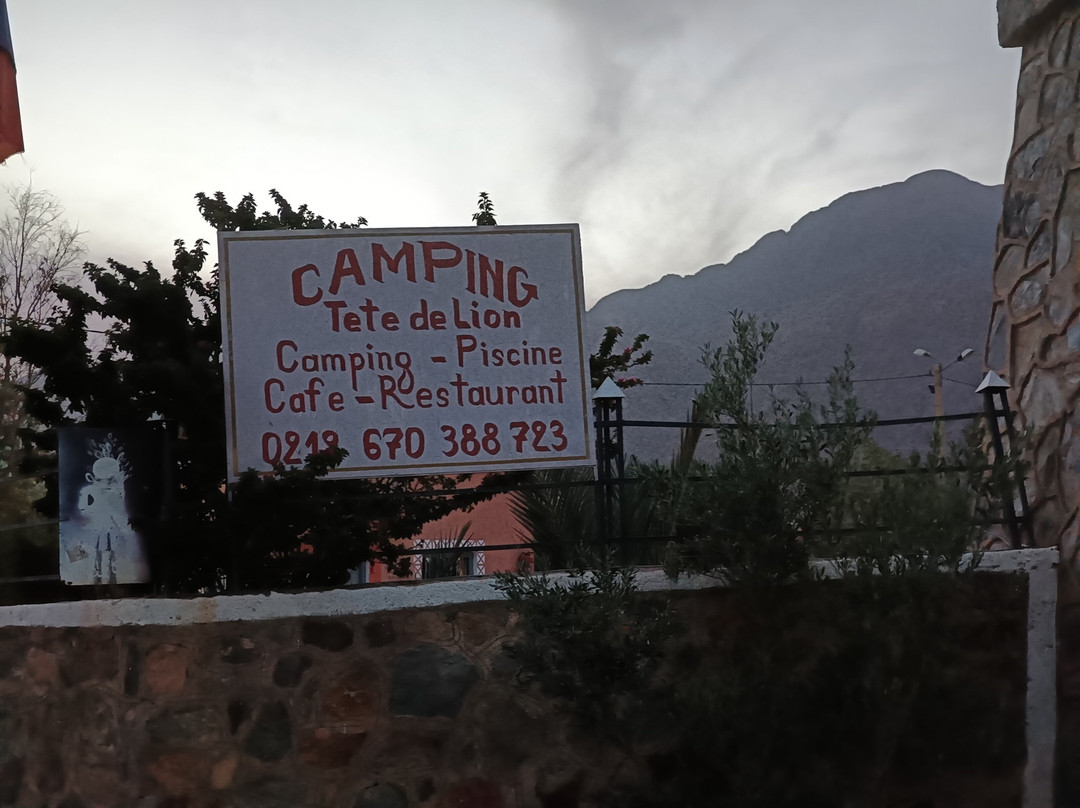 The Lion's Head Hotel
