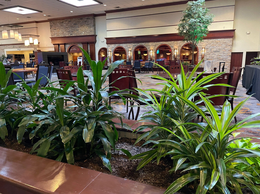 Doubletree By Hilton Hotel Detroit - Dearborn主图