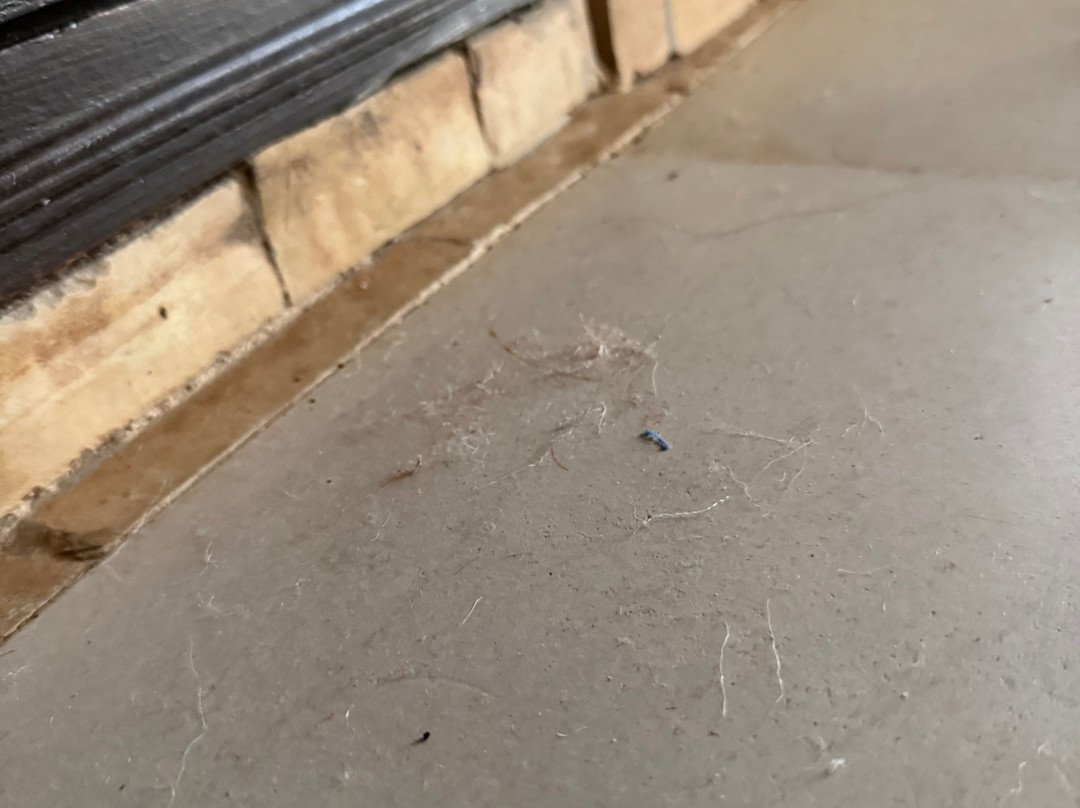 Kasbah Bab Ourika主图