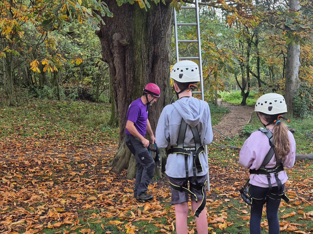 Raven Tree Top Adventure-斯基普顿必去景点