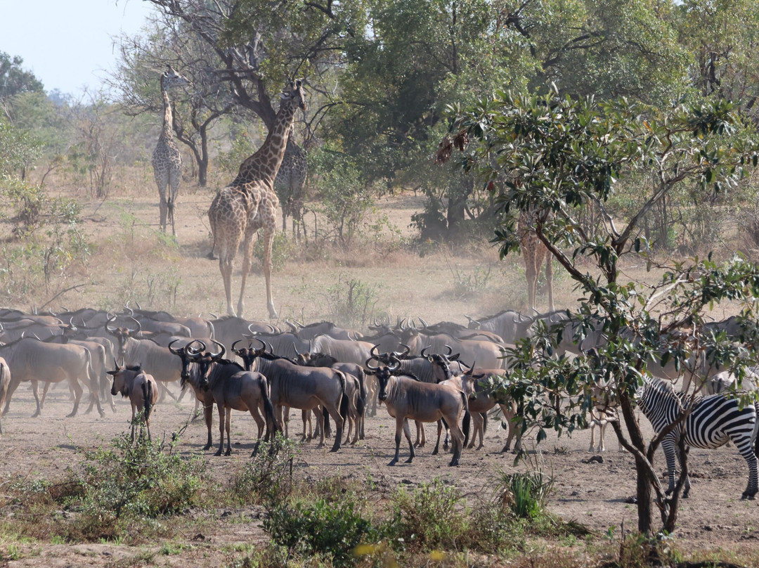 Msafiri Travels-Dar es Salaam必去景点