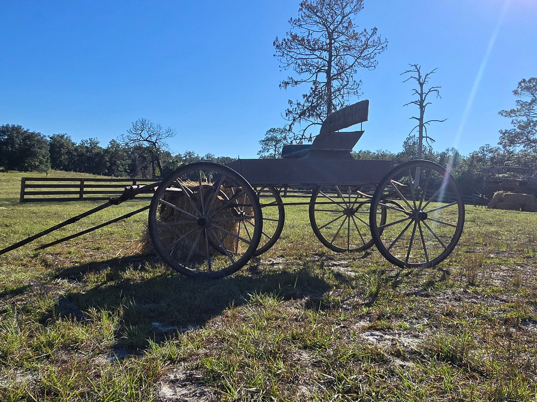 Lilsa Lodge Hunts-Chiefland必去景点