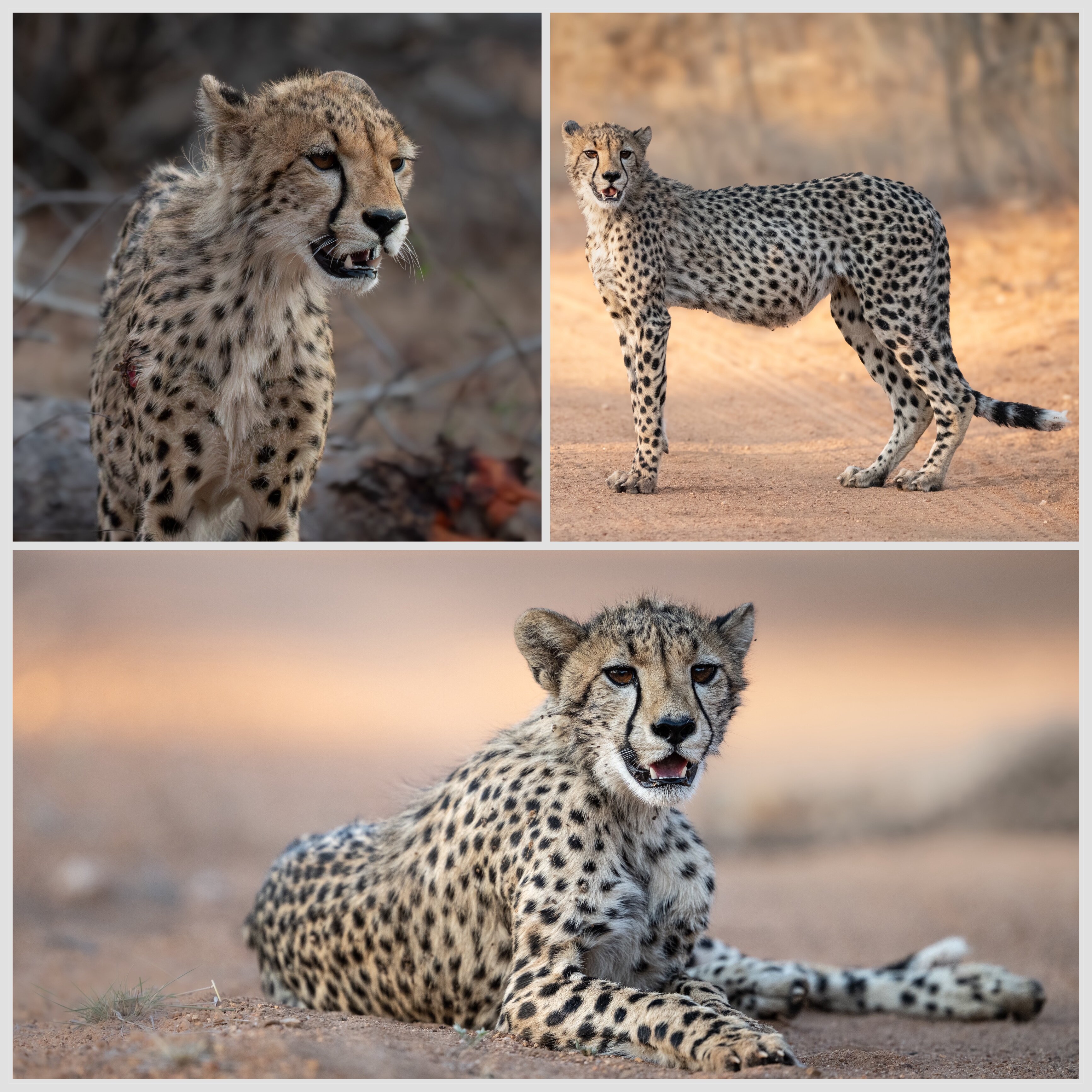 Abelana River Lodge-官方