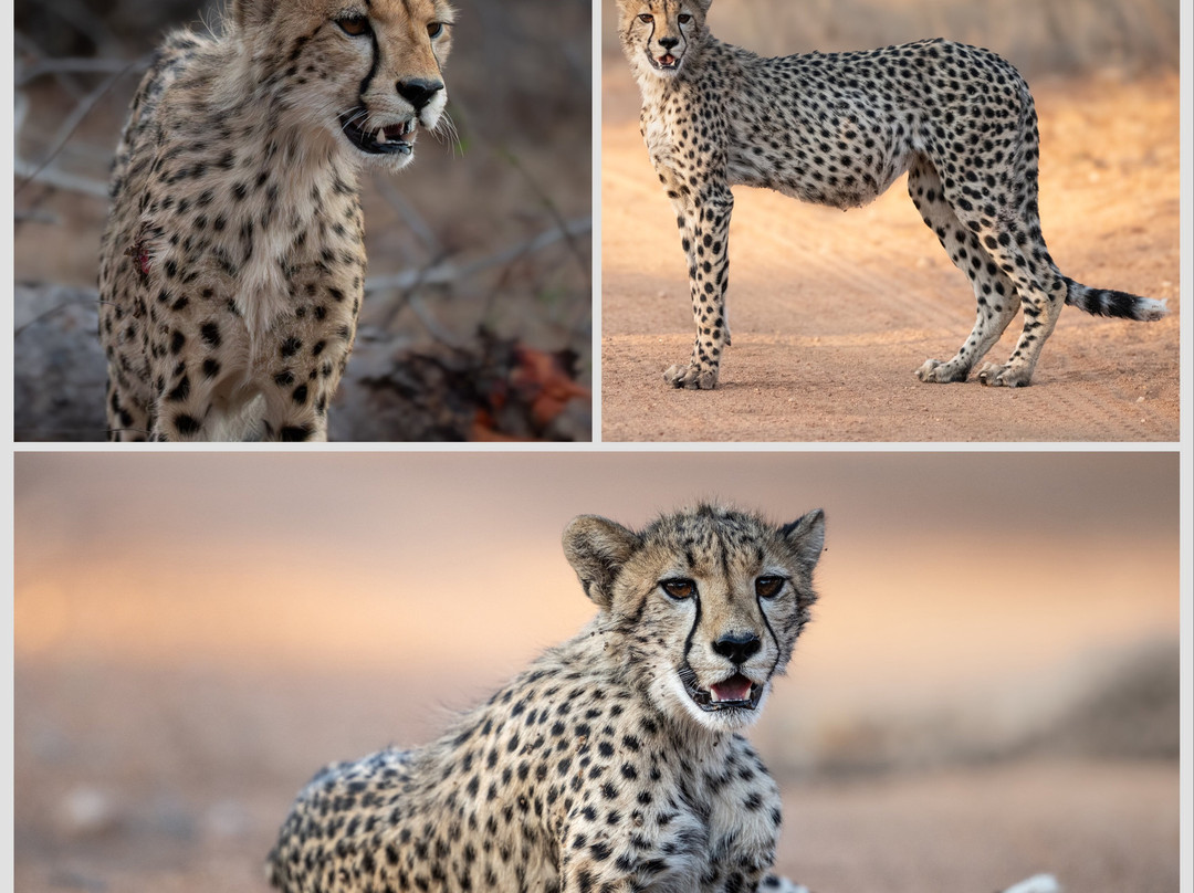 Abelana River Lodge主图