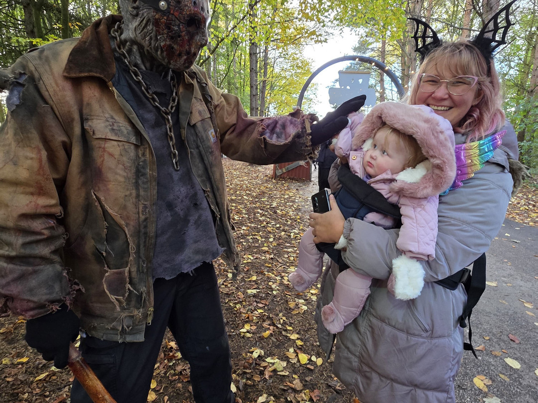 Lightwater Valley Family Adventure Park-North Stainley必去景点