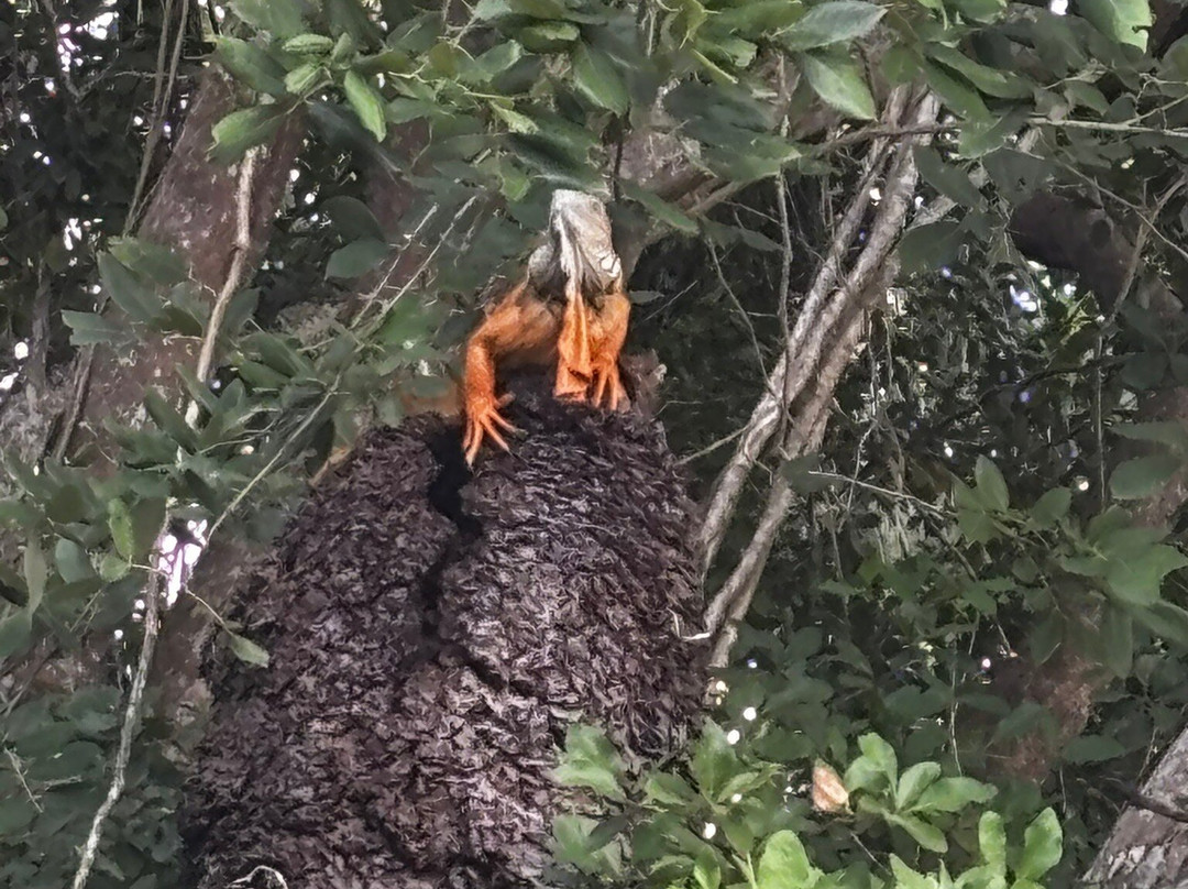 Veleando Ando Bacalar-Bacalar必去景点