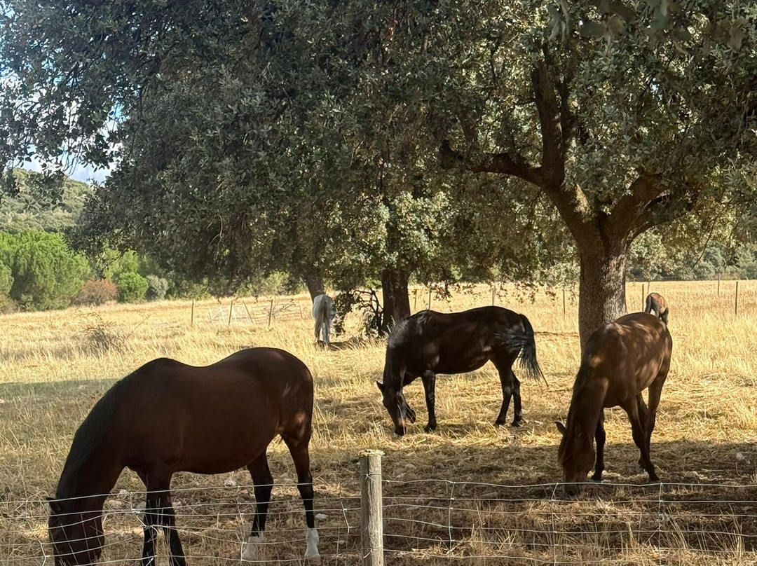 Hotel Rural Caserío de Aldeallana主图