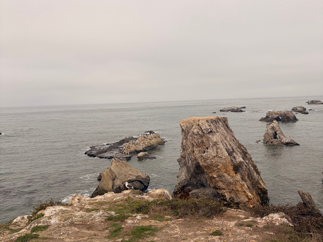 Shell Beach Inn主图