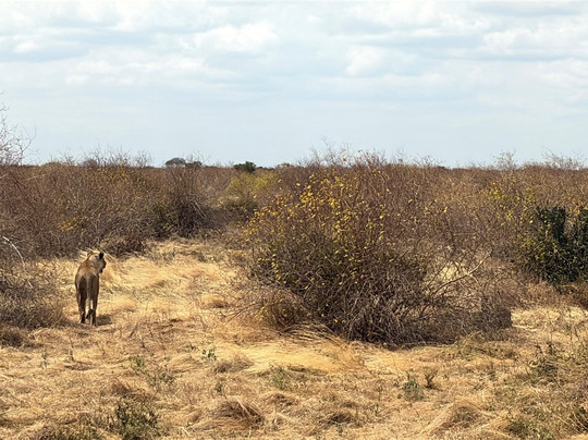Thanni Tours-蒙巴萨必去景点