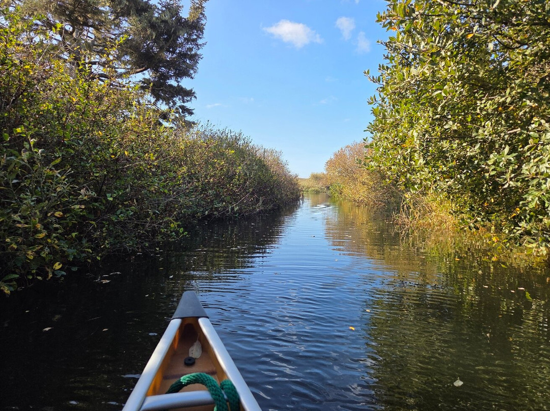 Castaway By the Sea主图