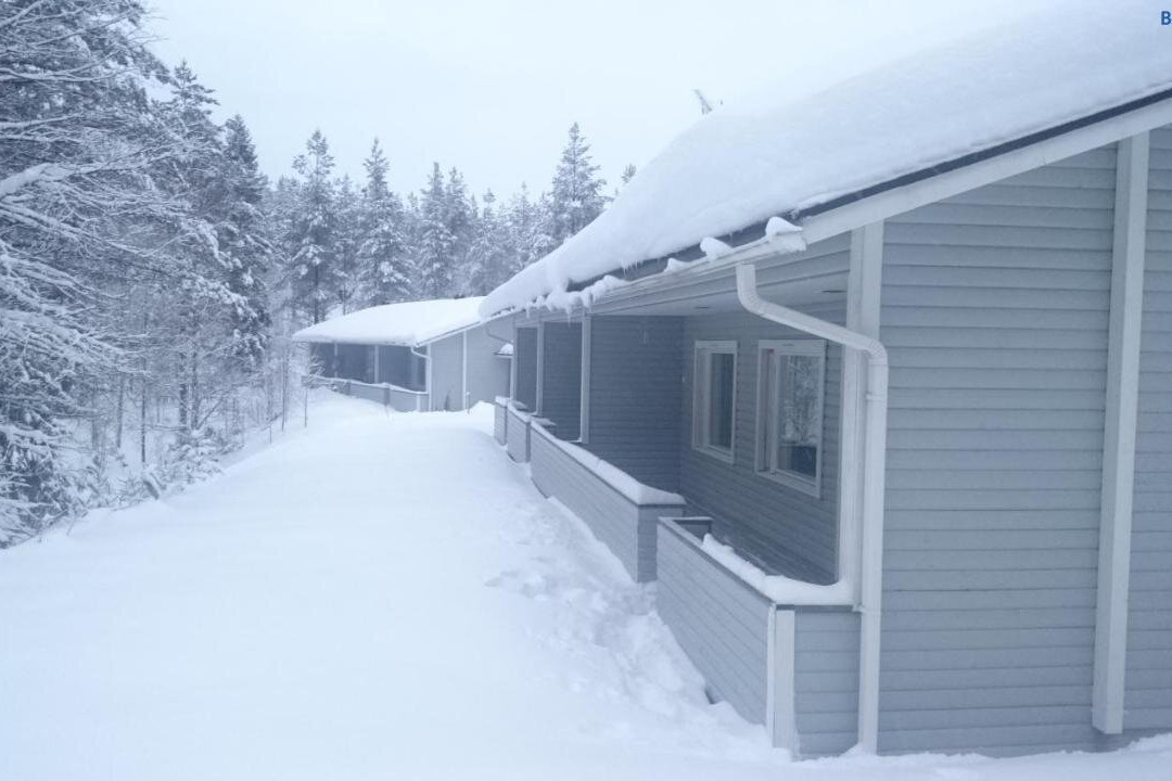 Kotipaljakka