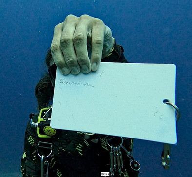 Manta Ray Dives Of Hawaii-凯鲁瓦-柯纳必去景点