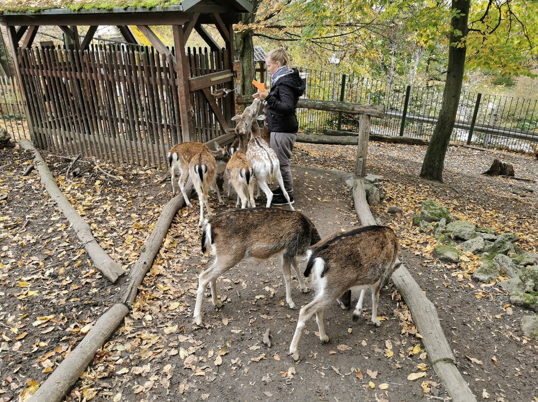 Tiergarten Eisenberg-Eisenberg必去景点