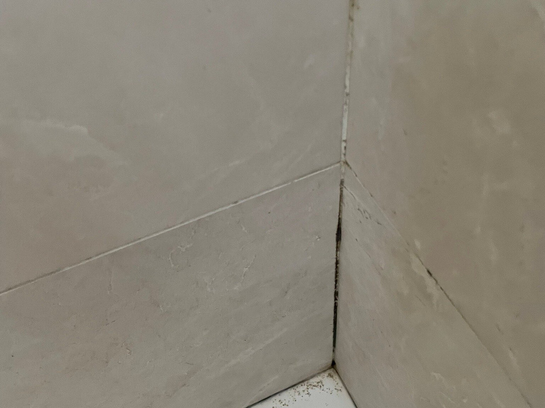 Hotel Magna Grecia主图