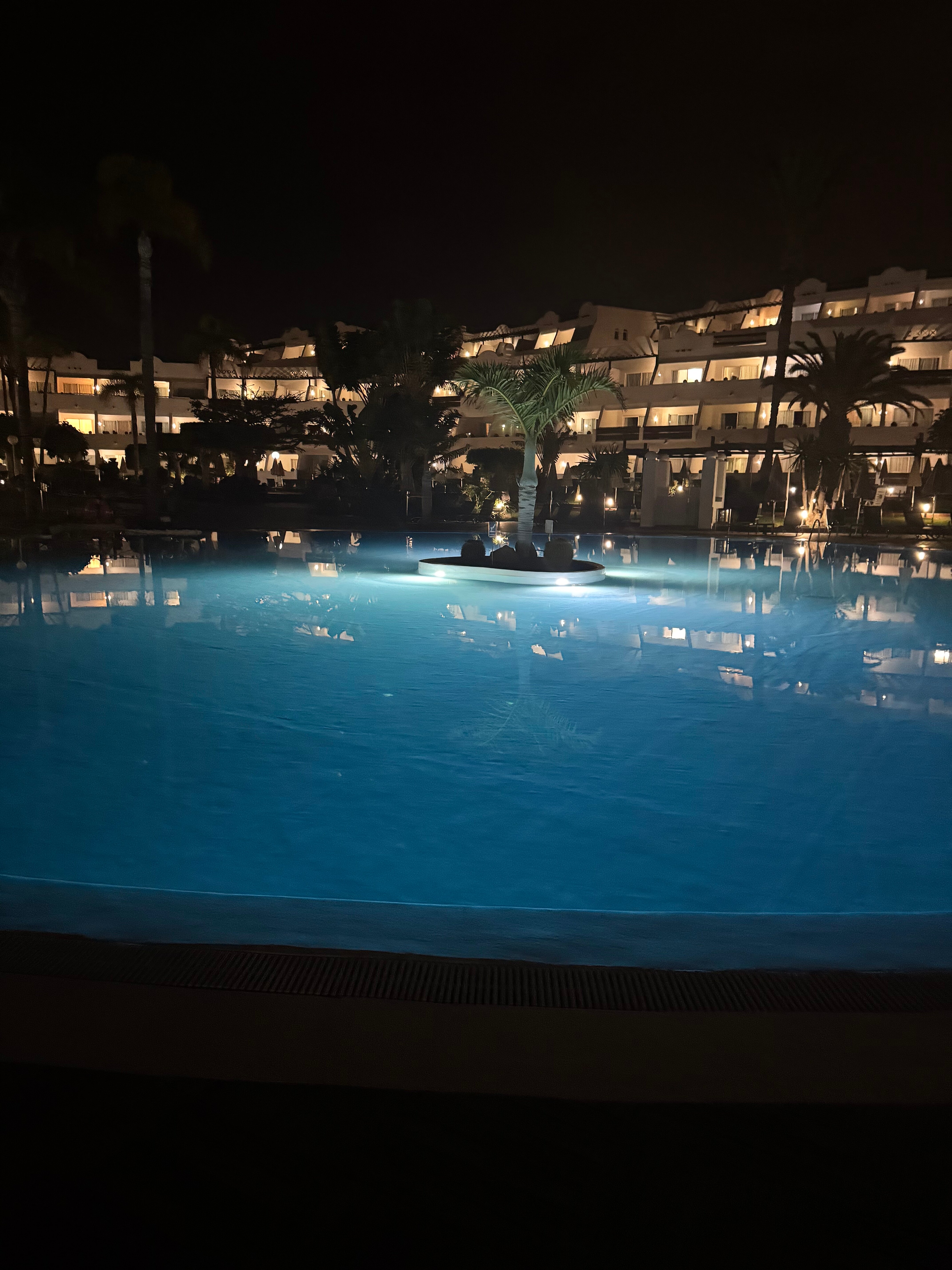 蒂曼法亚皇宫酒店-泳池