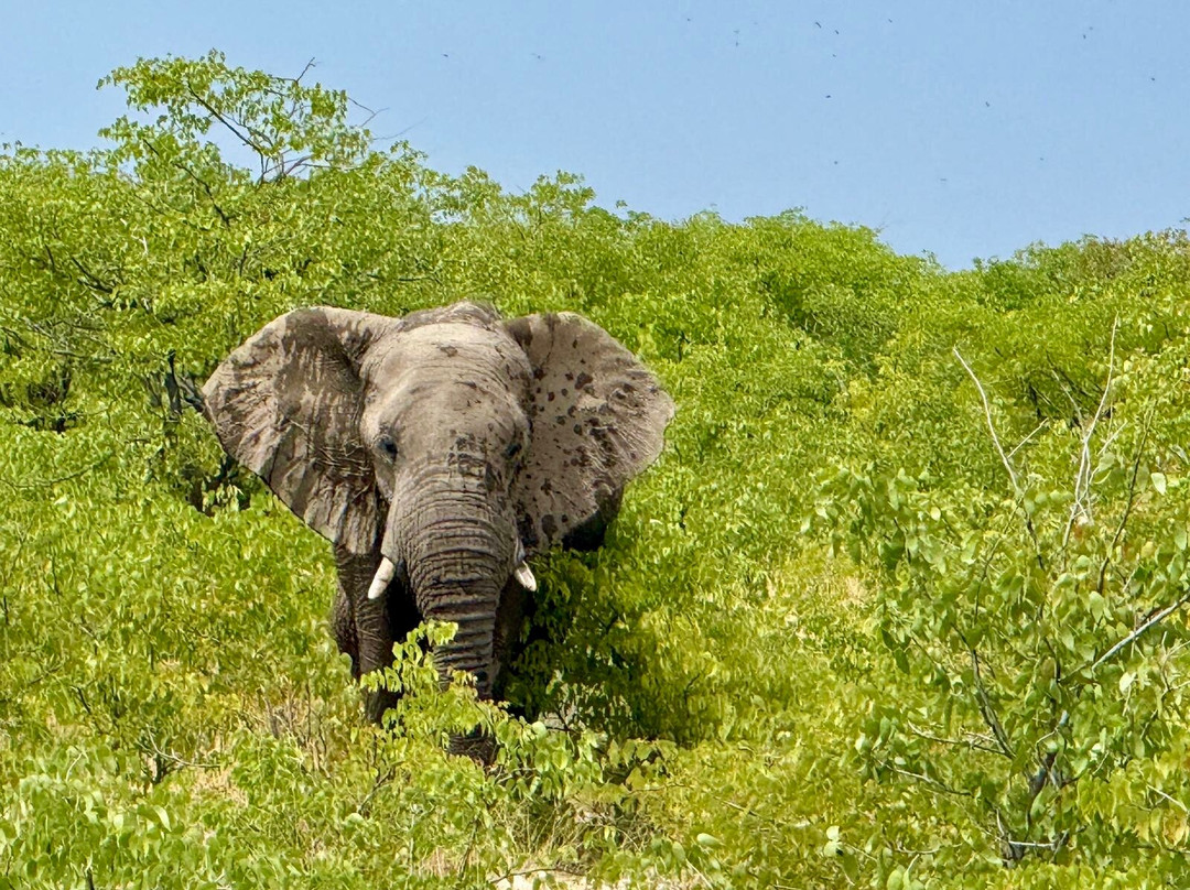 MilleMonti-布雷西亚必去景点