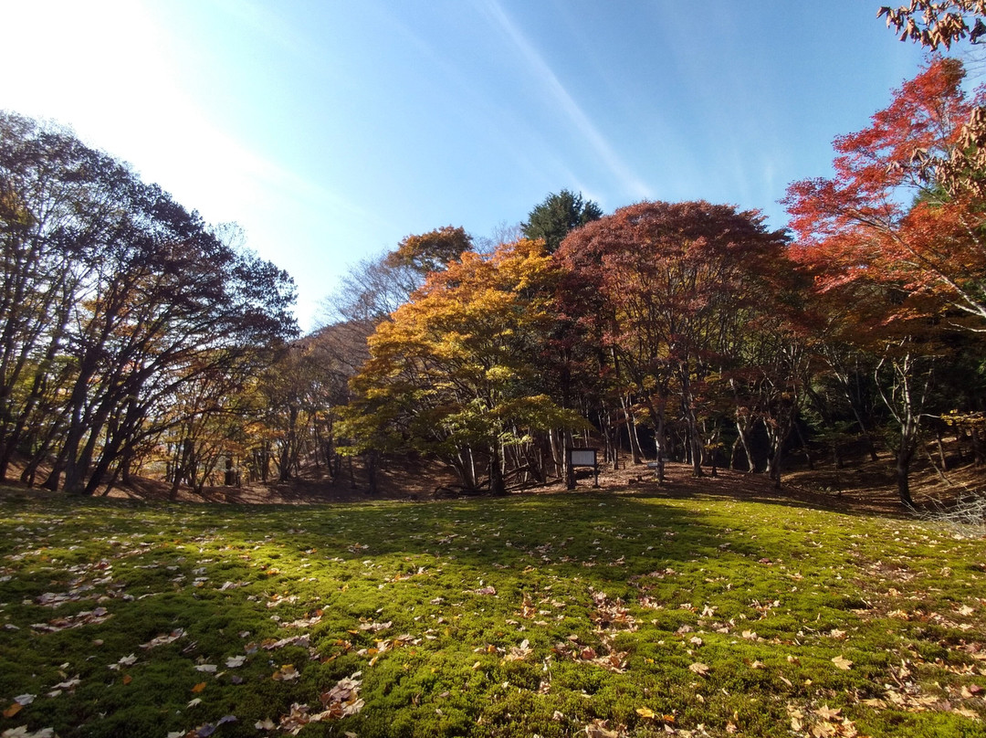 Shoulder of Mt. Omochi-横濑町必去景点