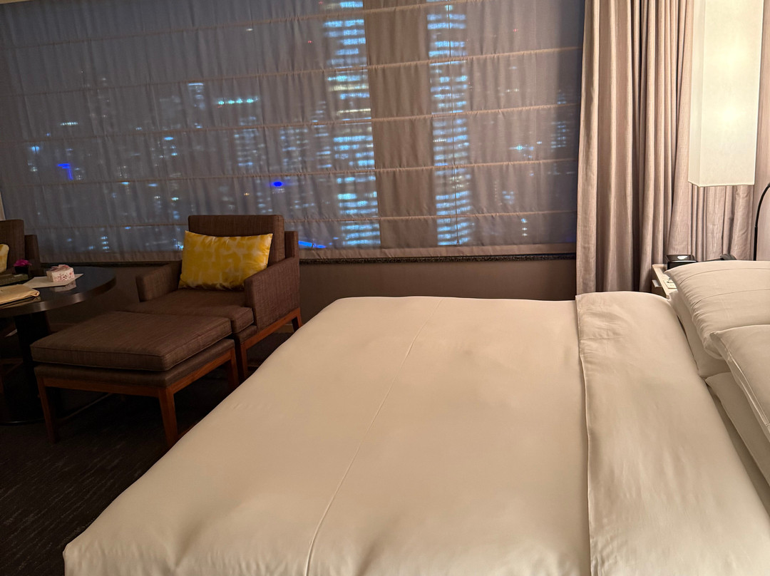 东急凯彼德大酒店主图