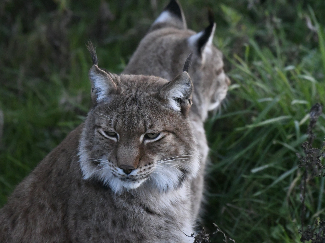 Legendia Parc-Frossay必去景点