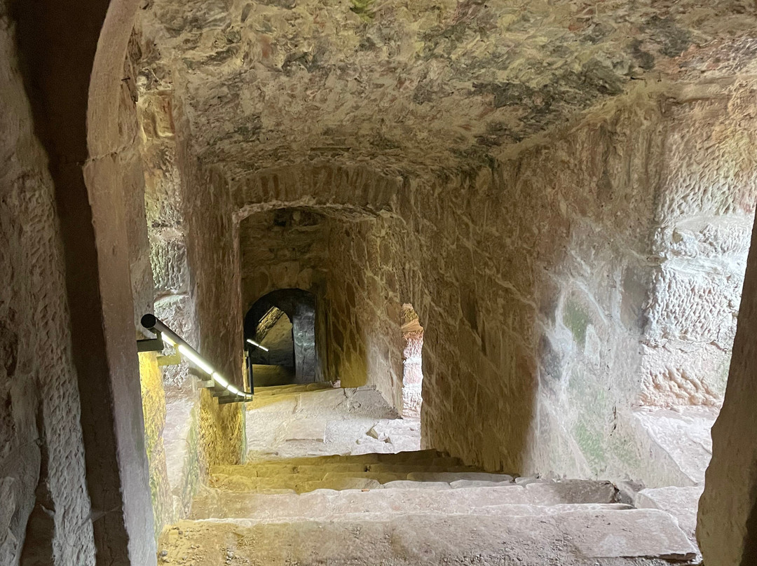 Burgruine Hardenburg-巴特迪克海姆必去景点