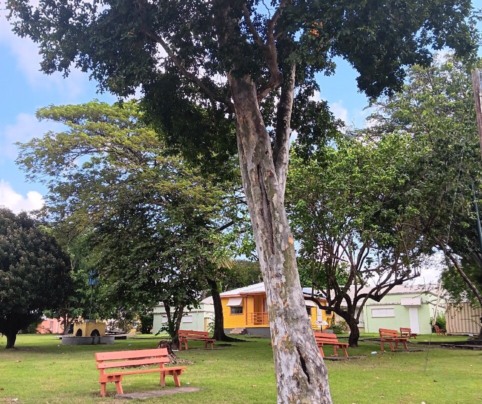 Queen's Park-布里奇顿必去景点