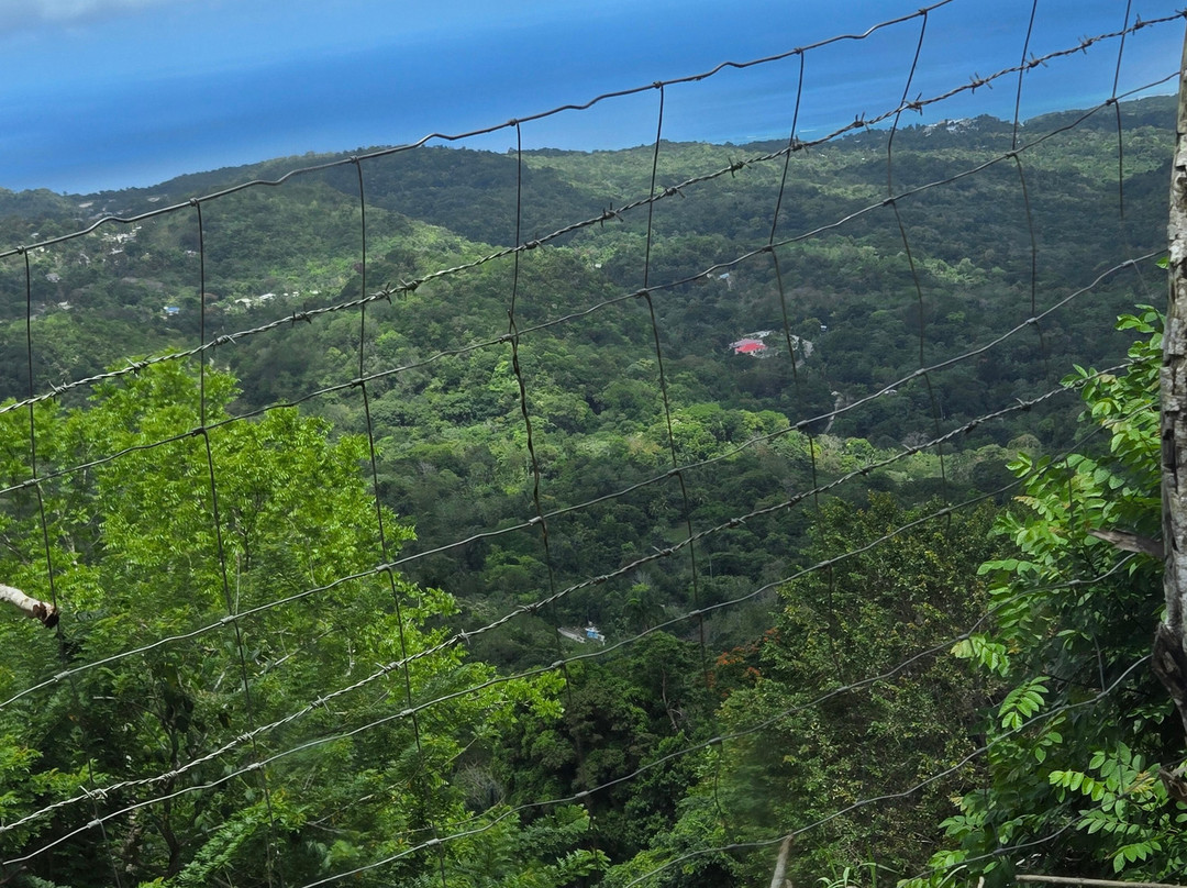 Yardie Tours-奥乔里奥斯必去景点