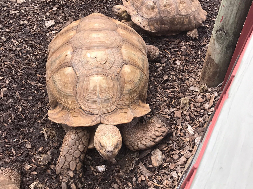 Rainforest Adventures-塞维尔维尔必去景点